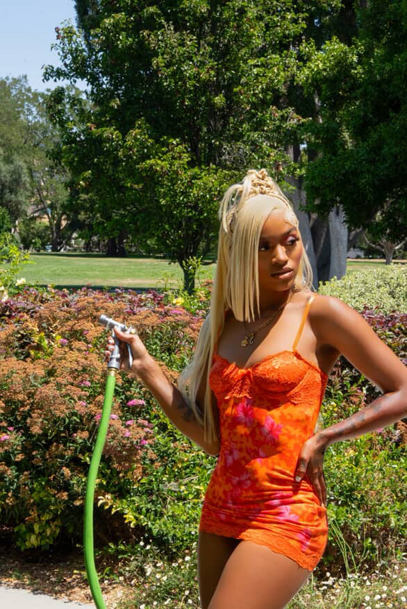 613 Frontal Wig